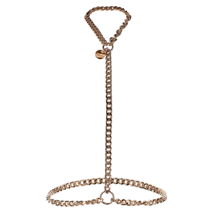 Statement Harness