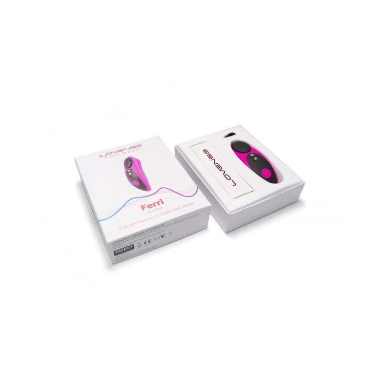 Lovense Panty Vibrator Ferri