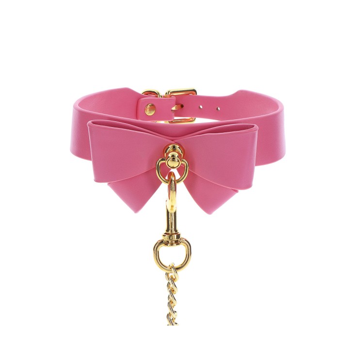 Collar and Leash