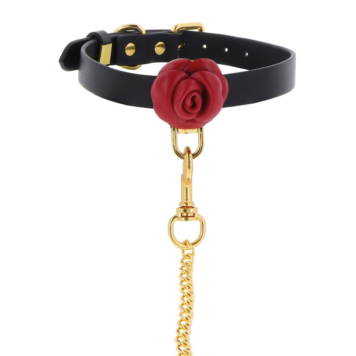 Wild Roses Collar & Leash