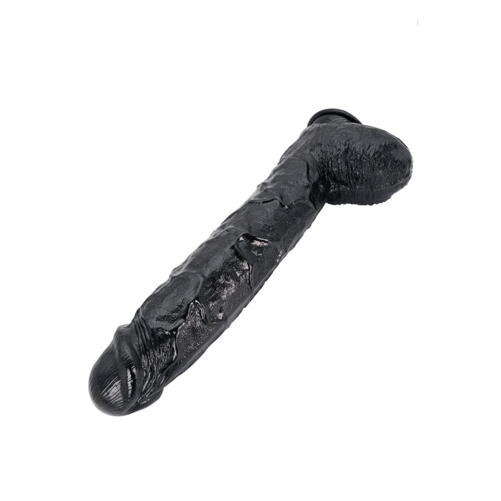 Dong 43 cm