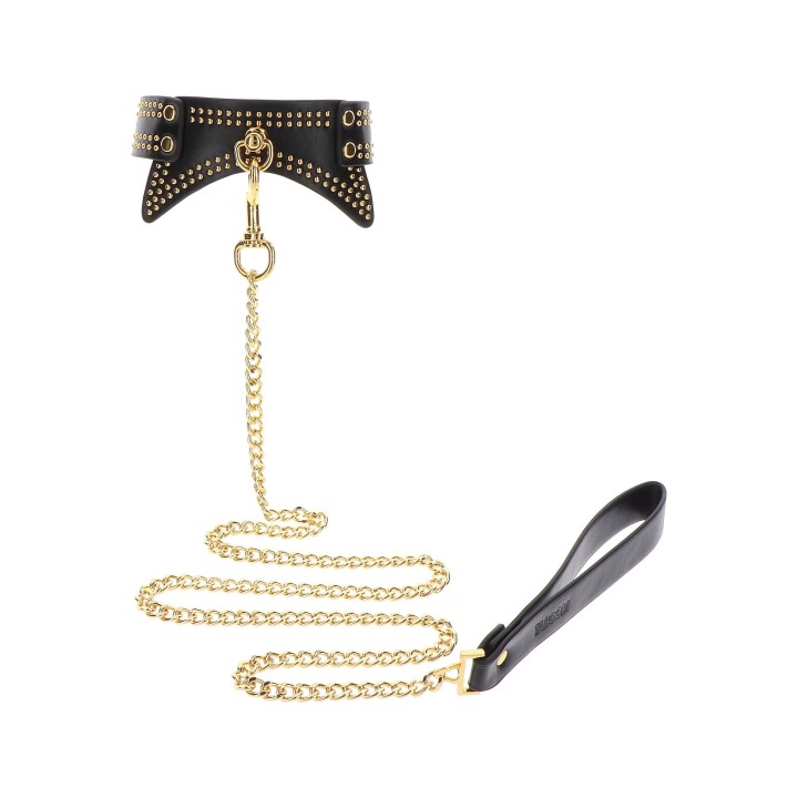 Studded Collar and Leash