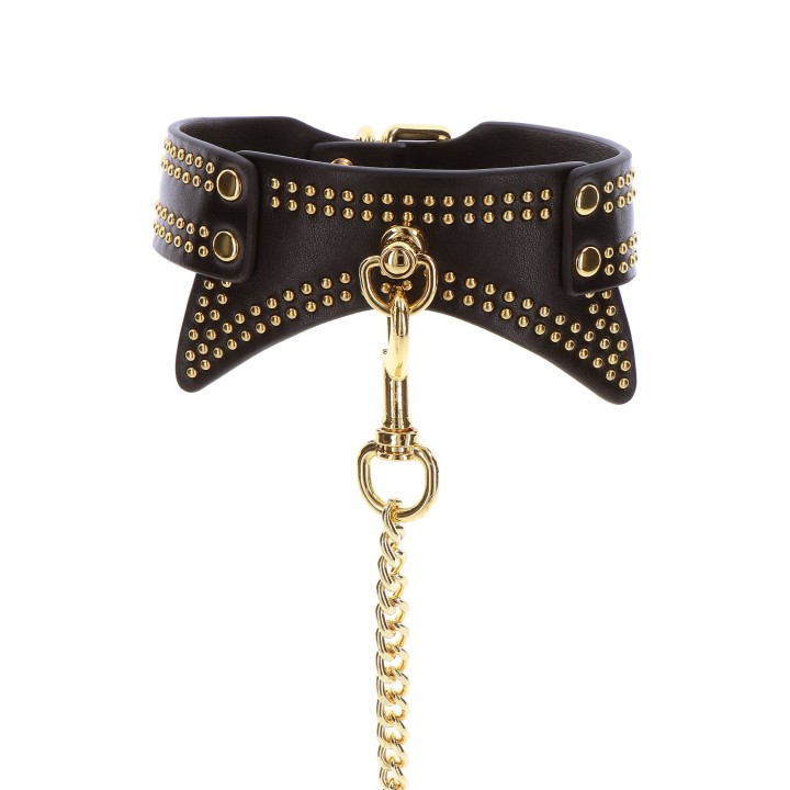 Studded Collar and Leash