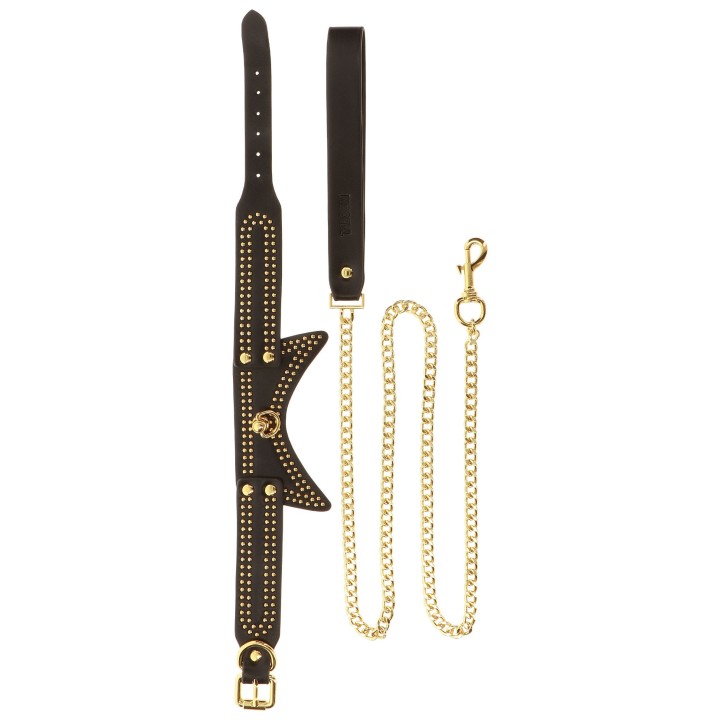 Studded Collar and Leash