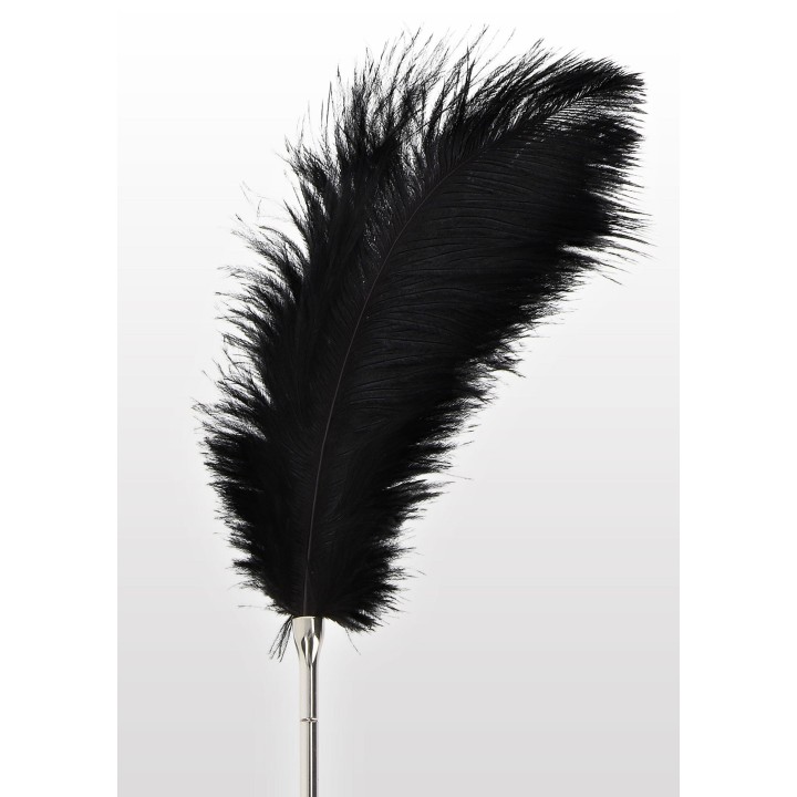 Feather Tickler