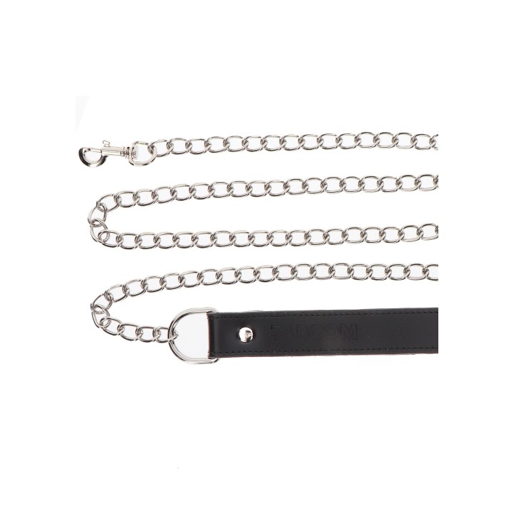 Chain Leash