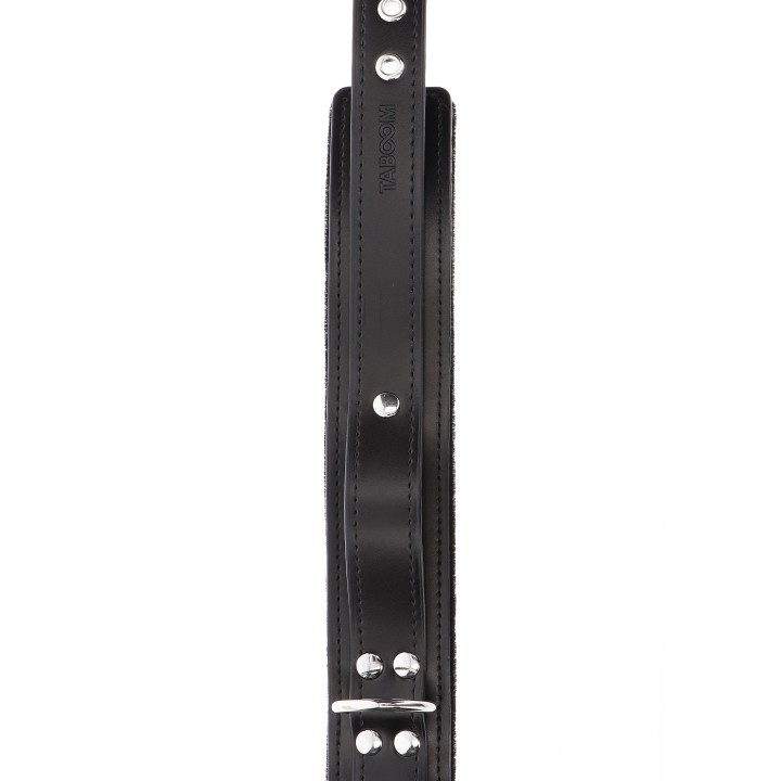 Heavy D-Ring Collar