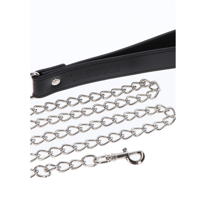 Elegant Collar and Chain Leash