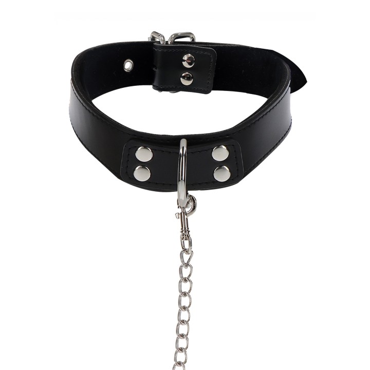 Elegant Collar and Chain Leash