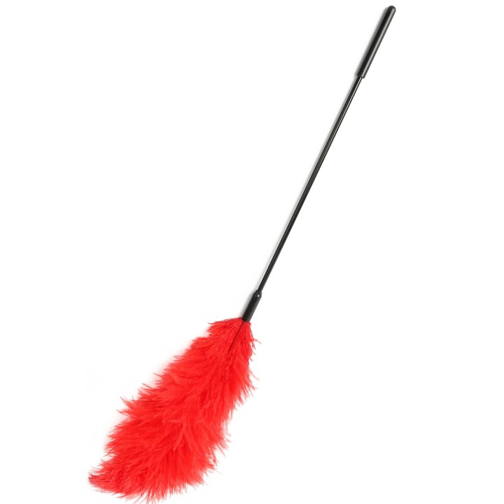 Double Feather Tickler