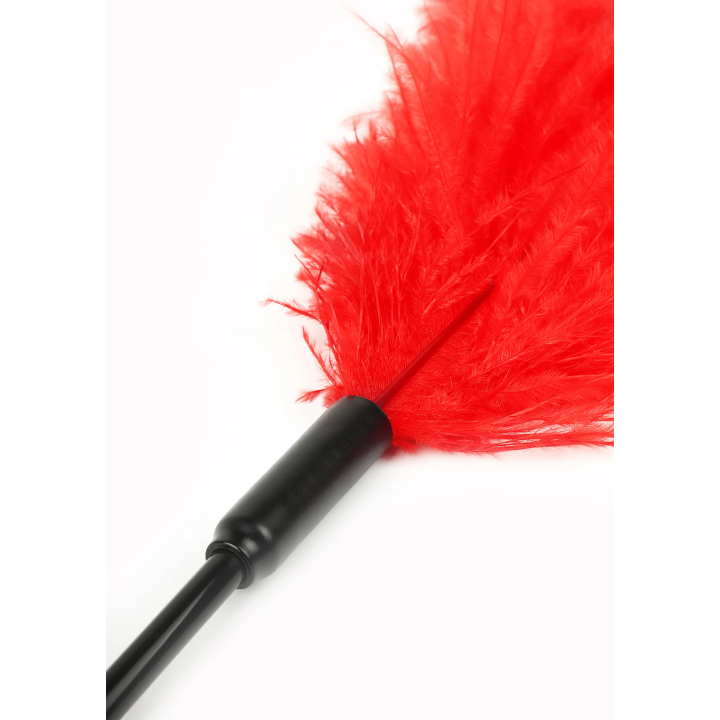 Double Feather Tickler