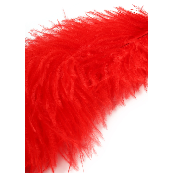 Double Feather Tickler