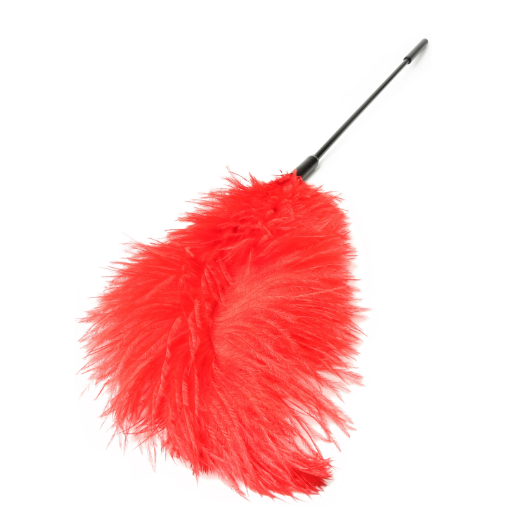 Double Feather Tickler