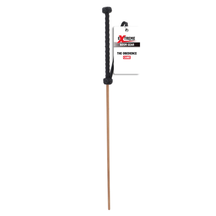 The Obedience Cane