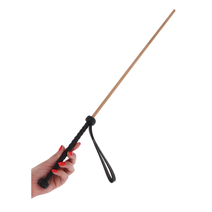 The Obedience Cane