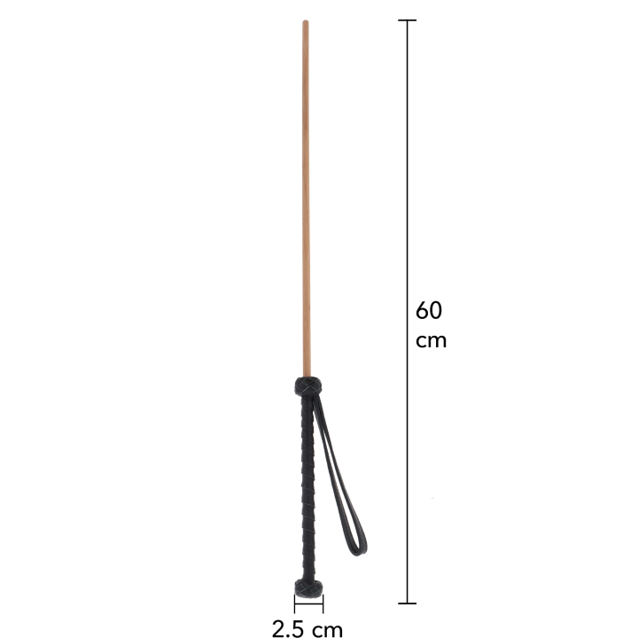 The Obedience Cane
