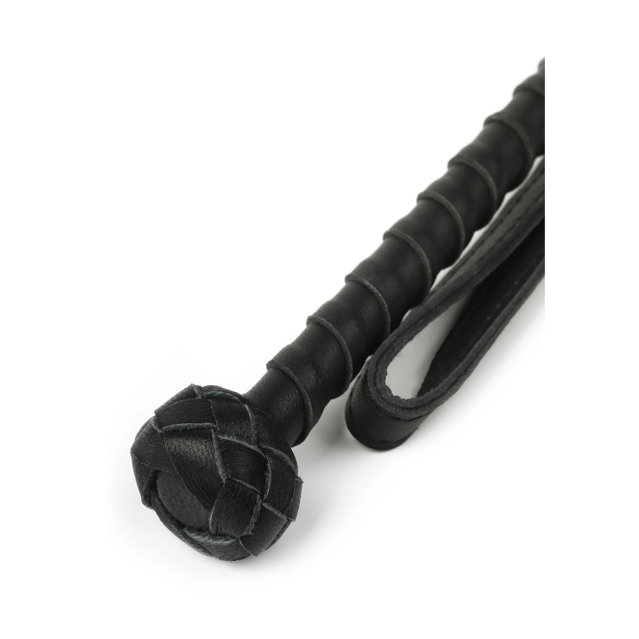 The Obedience Cane