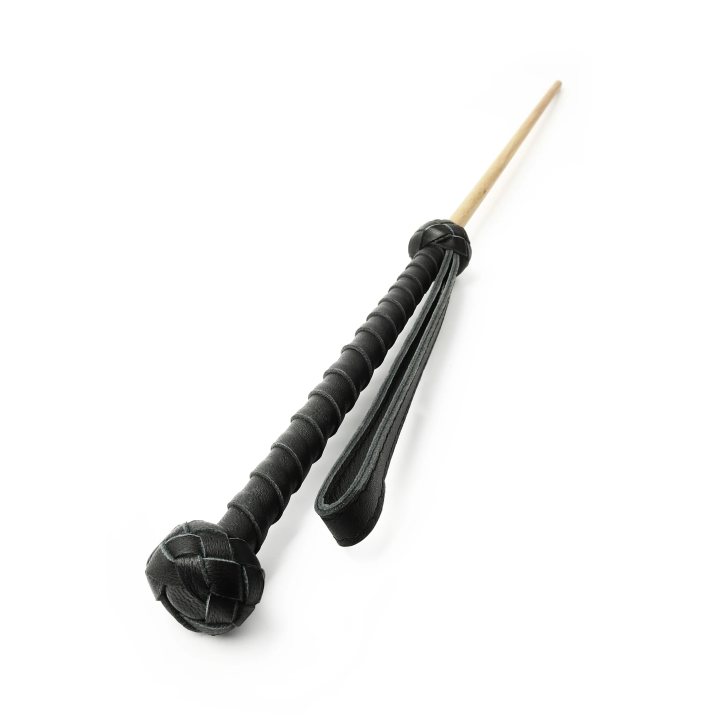 The Obedience Cane