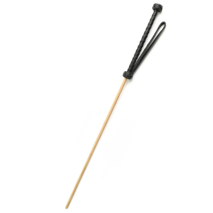 The Obedience Cane