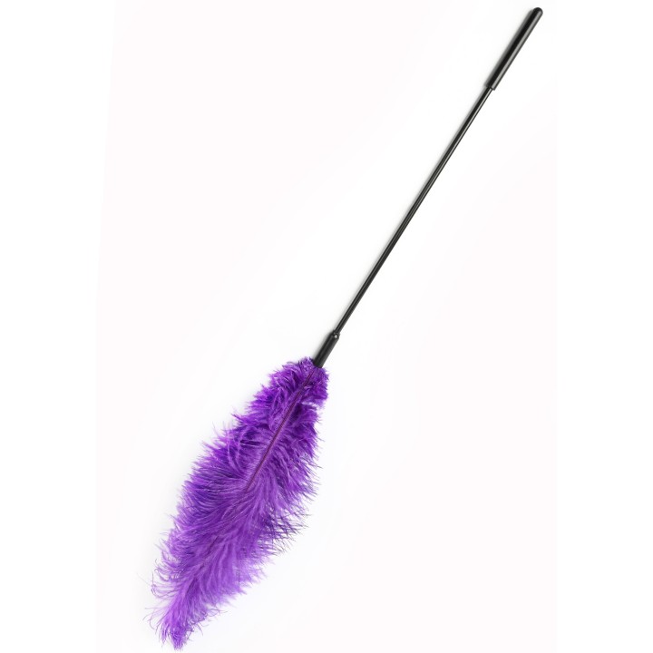 Double Feather Tickler