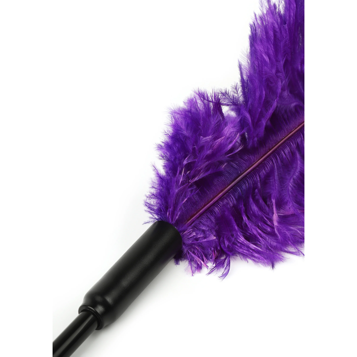 Double Feather Tickler