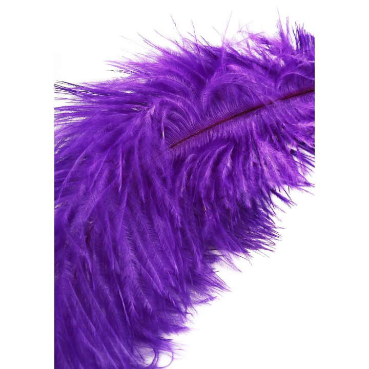 Double Feather Tickler