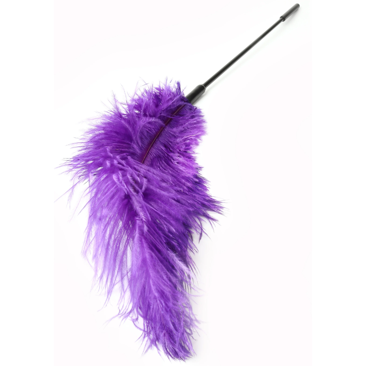 Double Feather Tickler