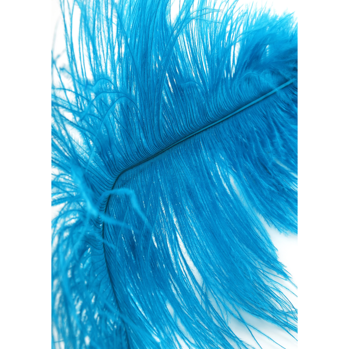 Double Feather Tickler