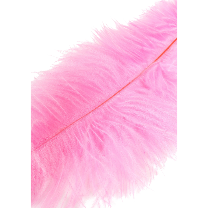 Double Feather Tickler