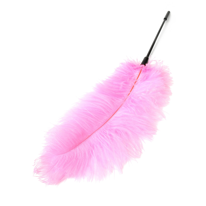 Double Feather Tickler
