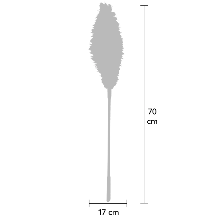 Double Feather Tickler