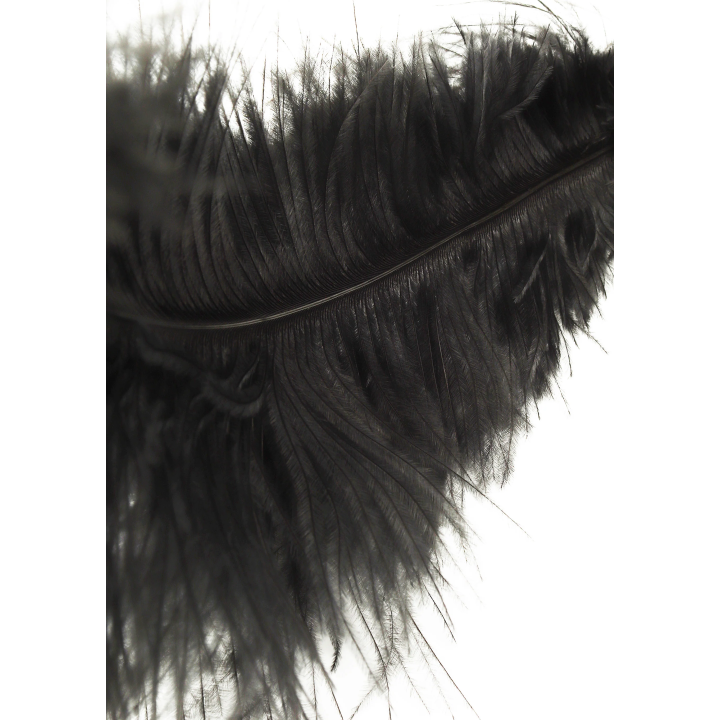 Double Feather Tickler