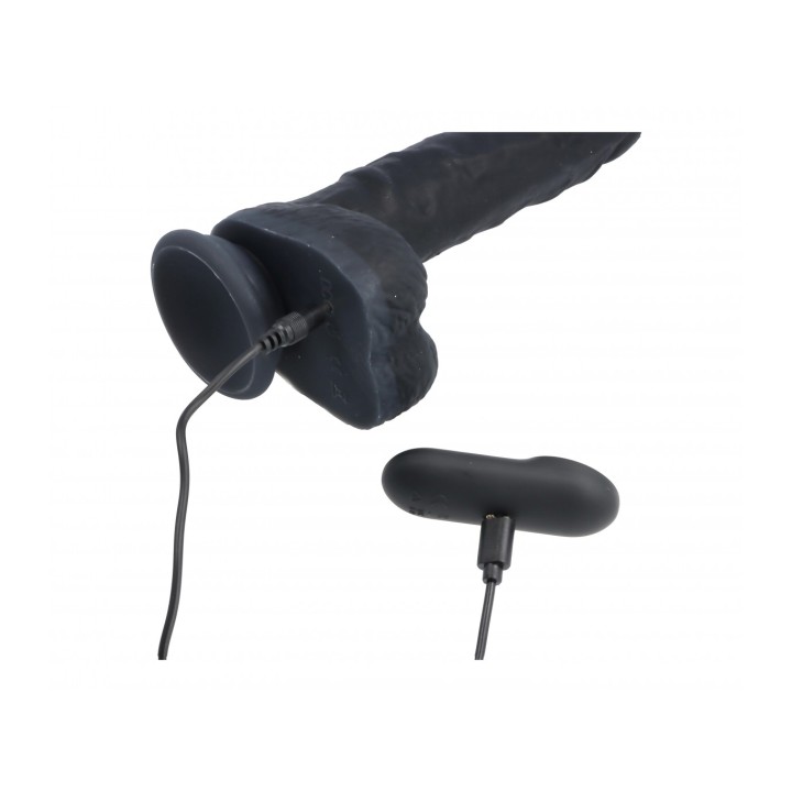 REALISTIC VIBRATOR & ROTATOR R9
BLACK 19