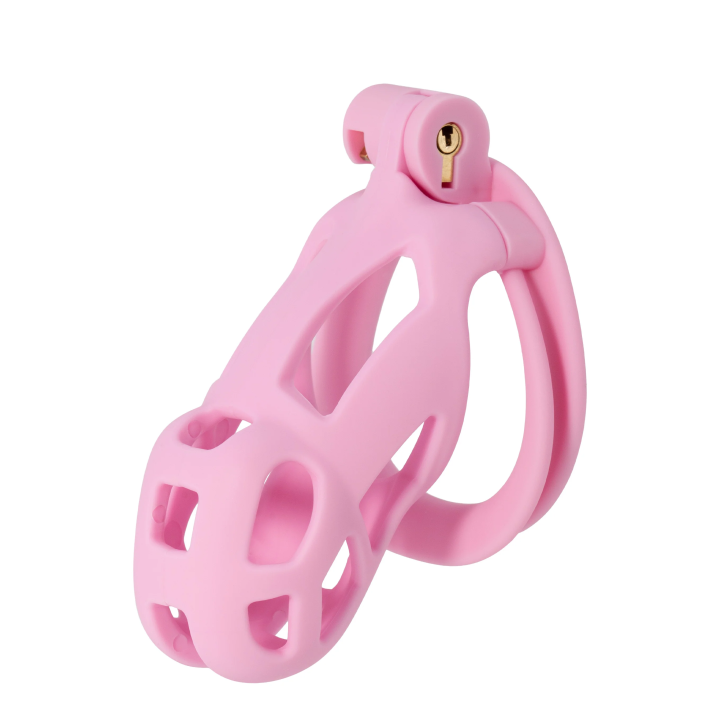 Penis Prison Cock Cage Regular