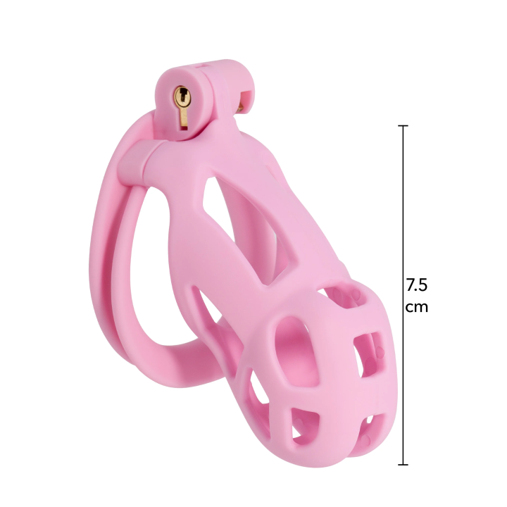 Penis Prison Cock Cage Regular