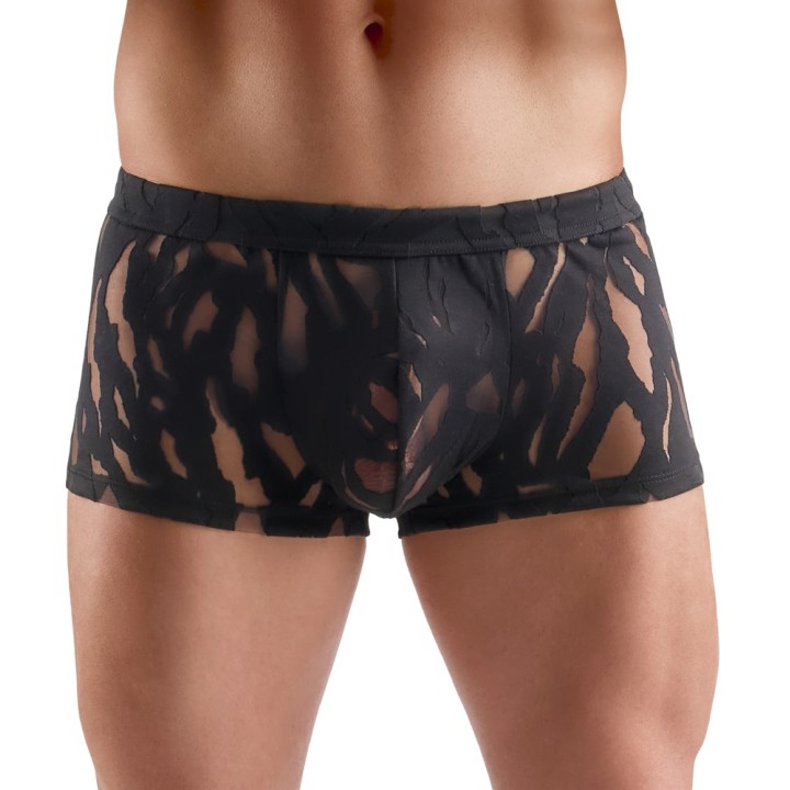M. Pants L