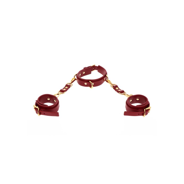 D-Ring Collar and Wrist Cuffs
