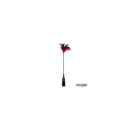 2-in-1 Paddle with feather