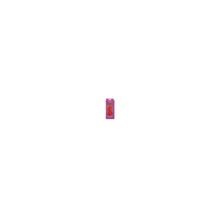 CHINESE BALLS E2 DUO PINK