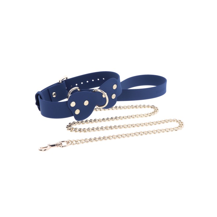 Silicone Collar and Leash