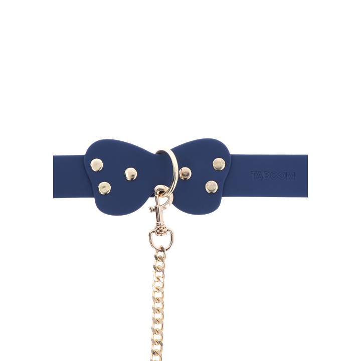 Silicone Collar and Leash