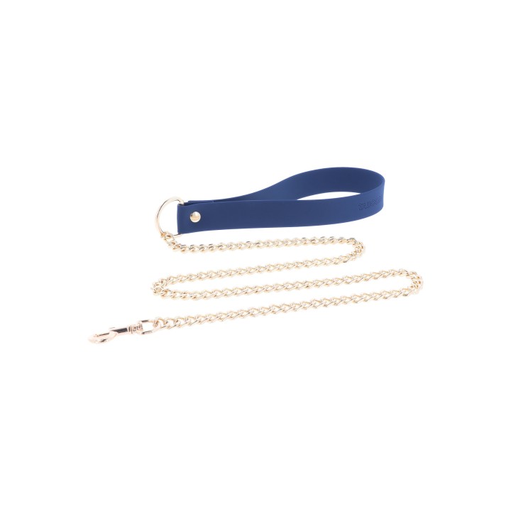 Silicone Collar and Leash