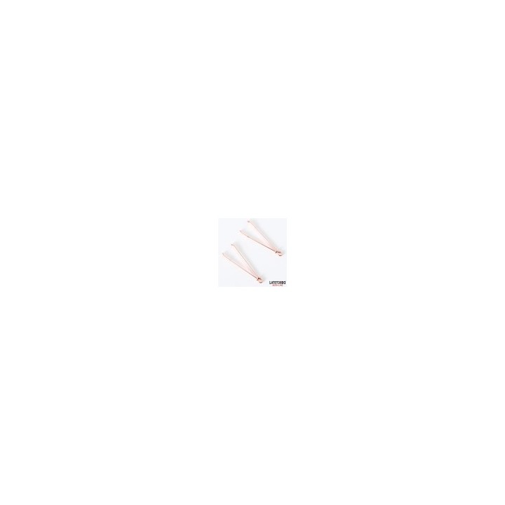 Nipple Clamps Color Rose Gold
