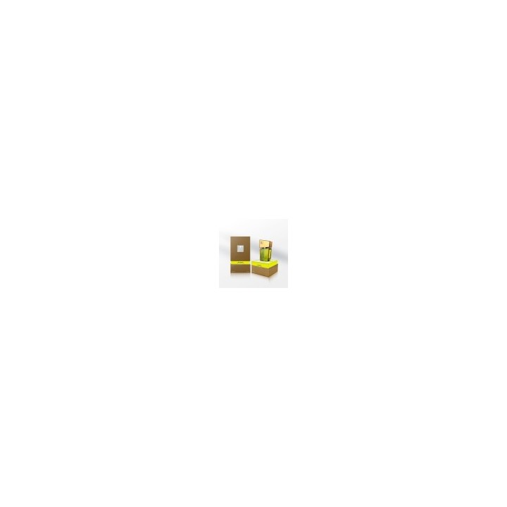 Shiatsu Pheromon Fragrance woman lime 15ml