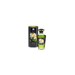 Shunga warming oil exotic green tea