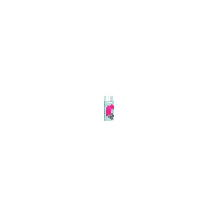ToyJoy Funky Fun Toys Funky Remote Egg