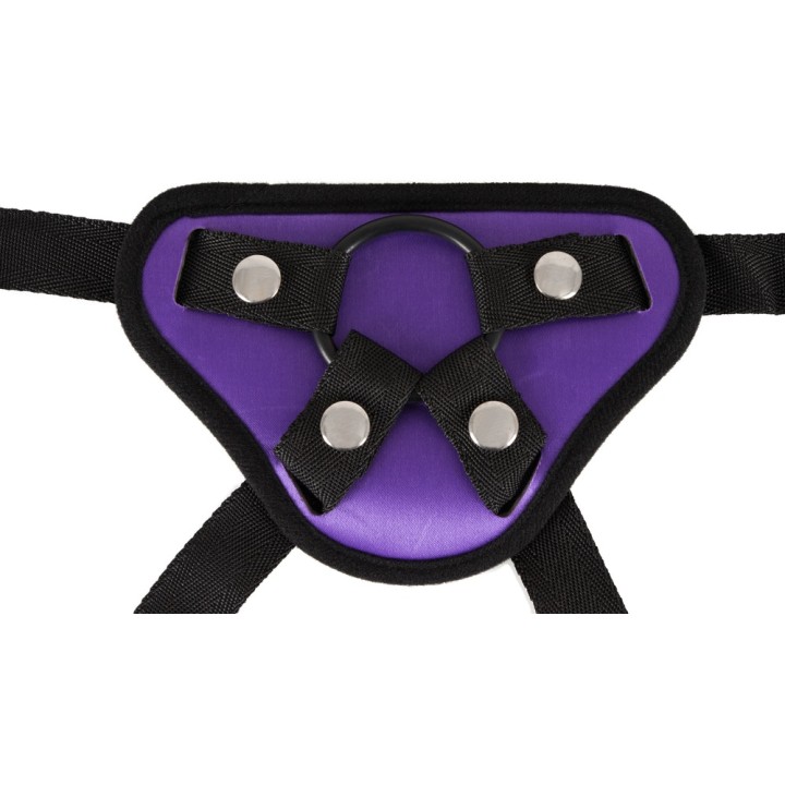 Universal Harness + 3 Rings