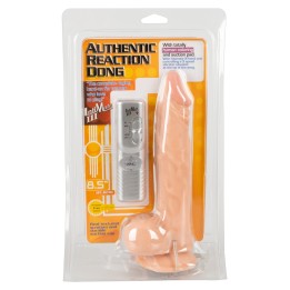 Auth. Reaction Dong