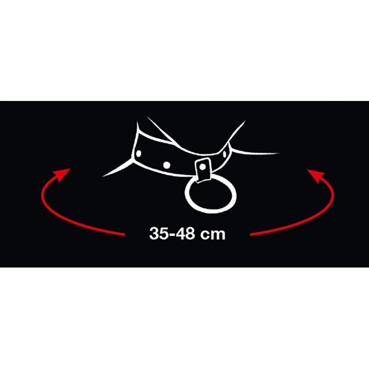 Collar and Leash