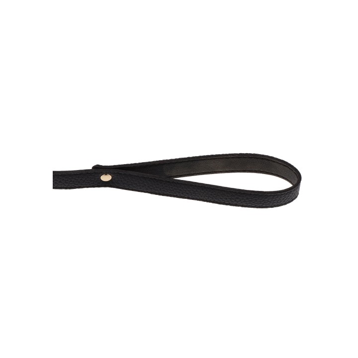 Statement Collar and leash